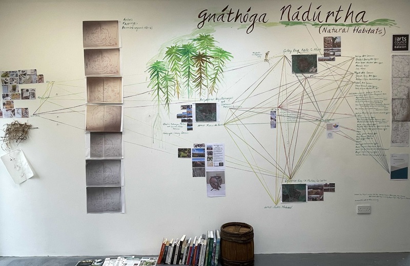 A visual relational mapping of the Gnáthóga Nádúrtha project by artist Jules Michael in her studio 2023